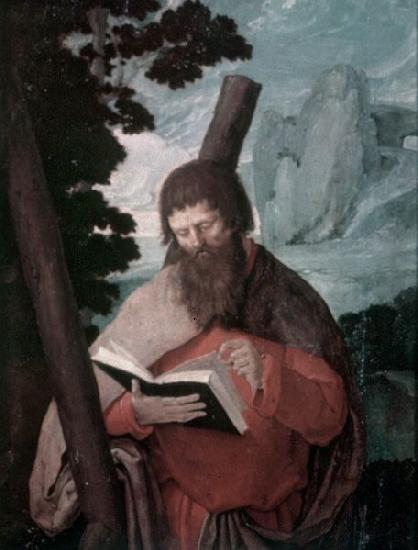 Lucas van Leyden Der heilige Andreas in Halbfigur oil painting image